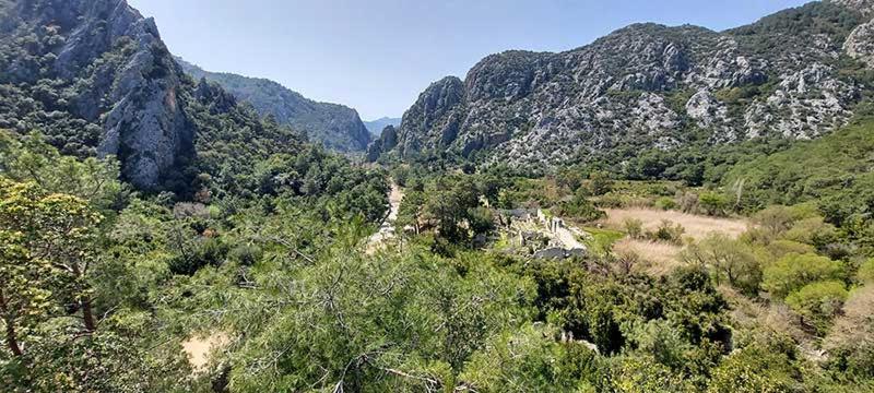 Bayrams Tree Houses Olympos Buitenkant foto